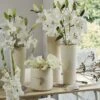 Collection Bulbes Pour Bouquets Modernes Blancs -Jardin A La Maison Collection bulbes pour bouquets modernes blancs 18974 1