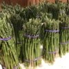 Asperge Verte Rambo - Asparagus Officinalis -Jardin A La Maison asparagus officinalis rambo 16300 1